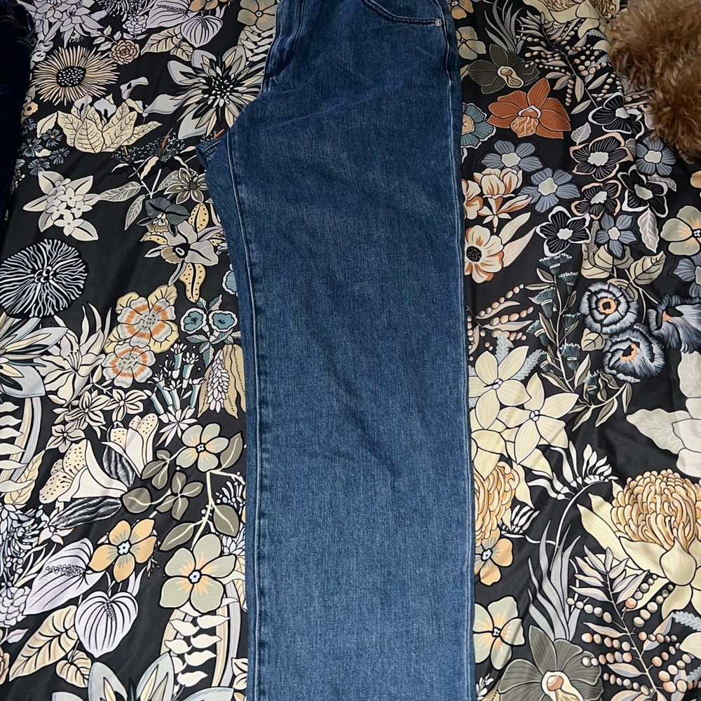 LOFT Women's Straight Leg Blue Jeans